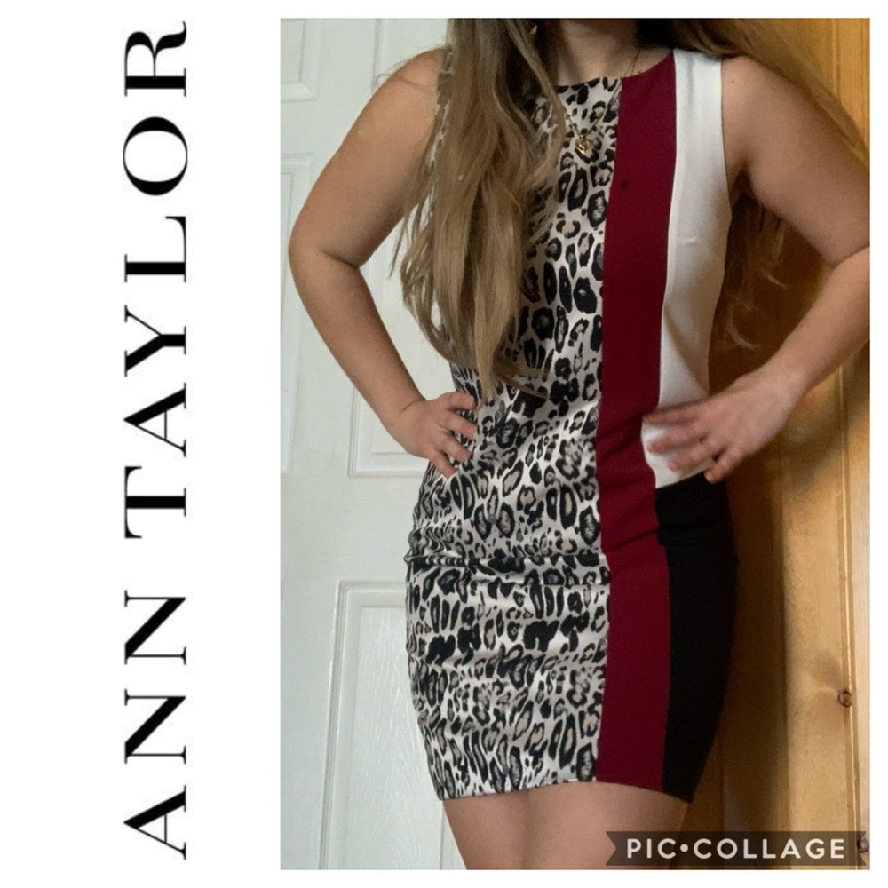 ANN TAYLOR CLASSY CHEETAH WORK ATTIRE DRESS